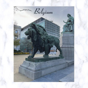 Majestic Lion in Brussels Belgium Postcard