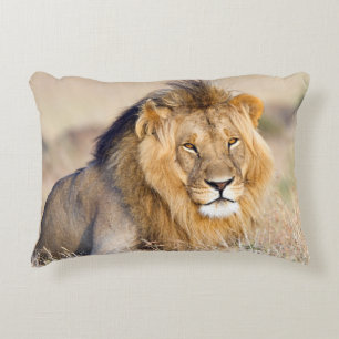 Majestic lion photo accent pillow
