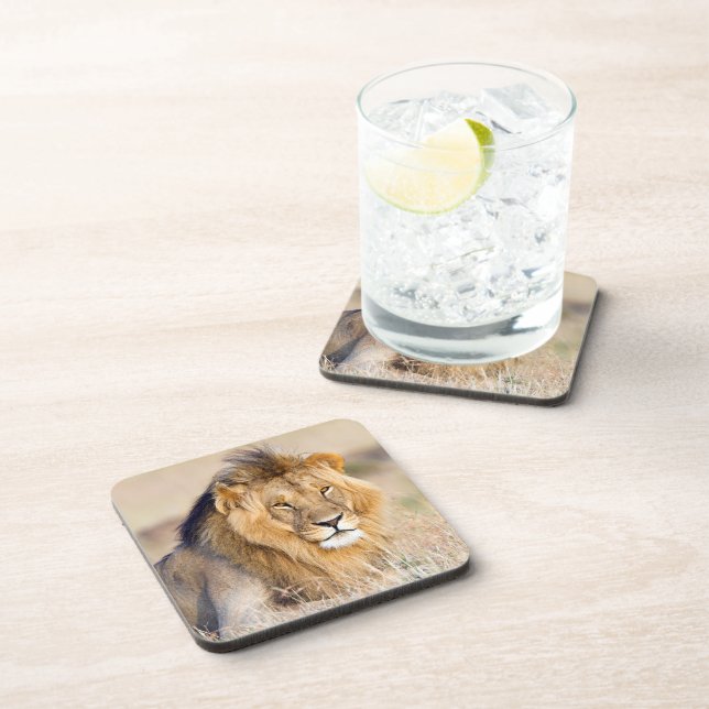 Majestic lion photo coaster (Right Side)