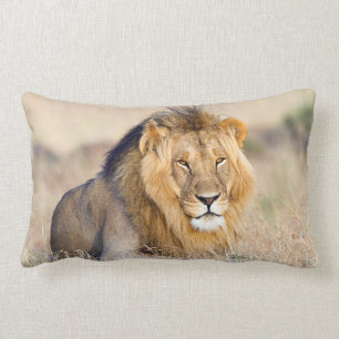 Majestic lion photo lumbar pillow