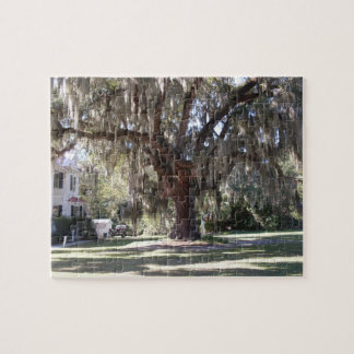 Majestic Live Oak Puzzle