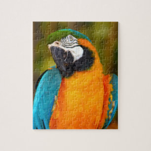 Majestic Macaw Jigsaw Puzzle