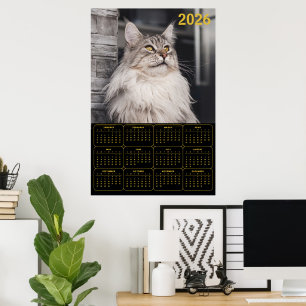 Majestic Maine Coon Cat – 2026 Wall Calendar  Poster