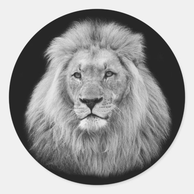 Majestic male lion black and white photo classic round sticker (Front)