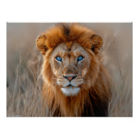 Majestic Male Lion with Glowing Blue Eyes