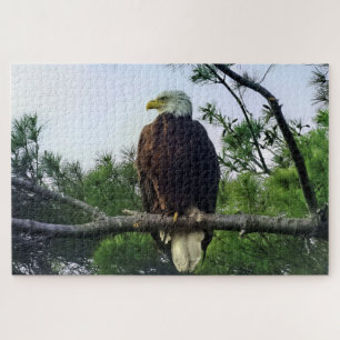 Majestic Mature Bald Eagle Perched in Tree Jigsaw Puzzle