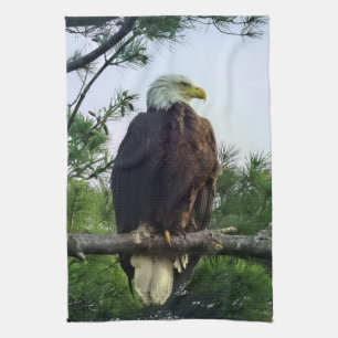 Majestic Mature Bald Eagle Perched in Tree Kitchen Towel
