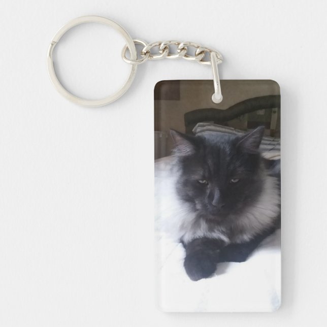 Majestic Merlin keychain (Front)