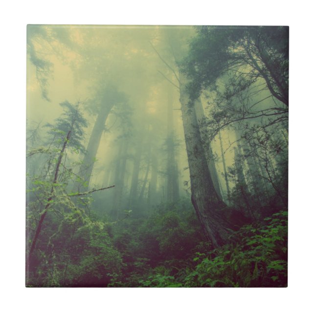 Majestic Misty Forest Tile (Front)