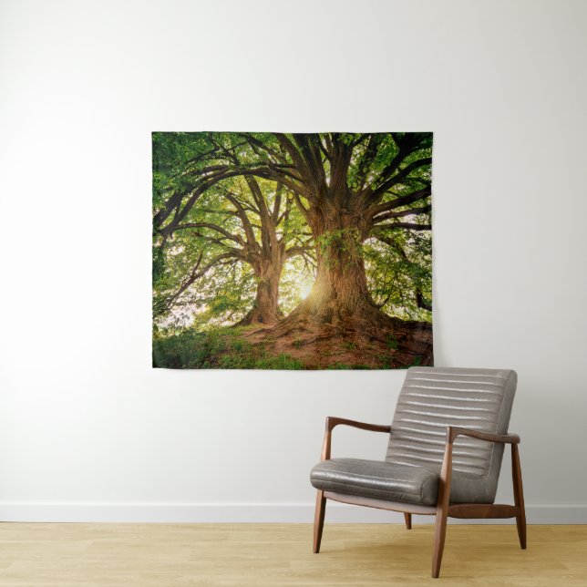 Majestic Old Oak Trees in Sunlit Forest Tapestry (In Situ (Horizontal))