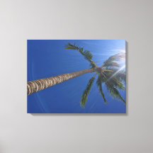 Majestic Palm Tree with Sun Rays Canvas Print