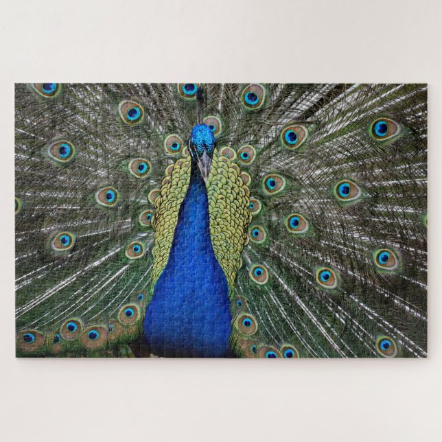 Majestic Peacock Jigsaw Puzzle (Horizontal)