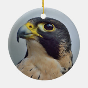 Majestic Peregrine falcon Ceramic Ornament