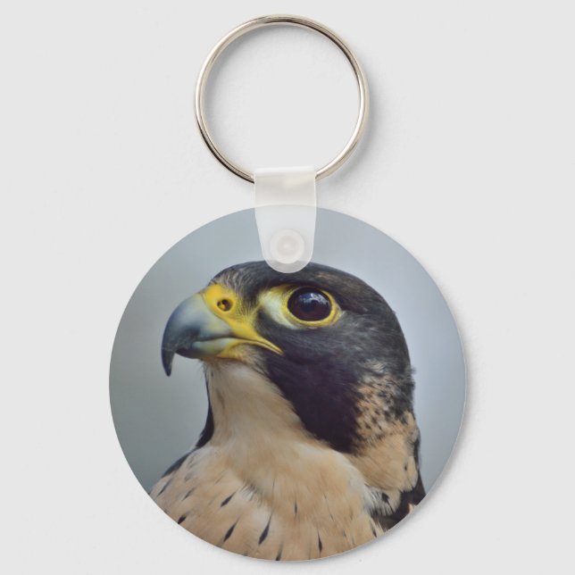 Majestic Peregrine falcon Keychain (Front)