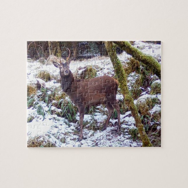 Majestic Red Deer Stag in Snow Forest Nature Scene Jigsaw Puzzle (Horizontal)