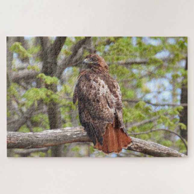Majestic Red Tailed Hawk Perched Jigsaw Puzzle (Horizontal)