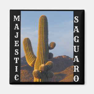 Majestic Saguaro Square Magnet