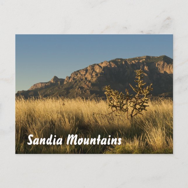 Majestic Sandia Mountains, Albuquerque Postcard (Front)