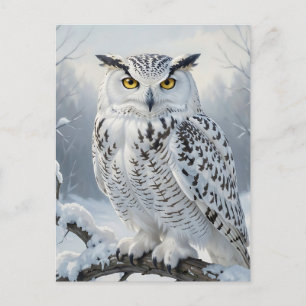 Majestic Snowy Owl Winter Scene Postcard