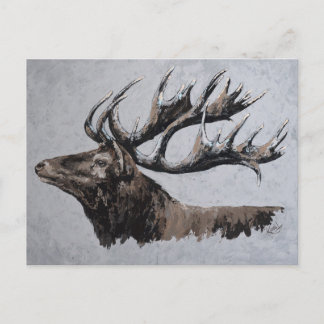 Majestic - stag postcard
