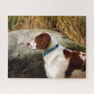 Majestic Stance: Copper the Brittany Spaniel Jigsaw Puzzle