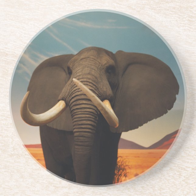 Majestic Stature Coaster (Front)