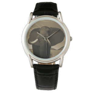 Majestic Stature Watch