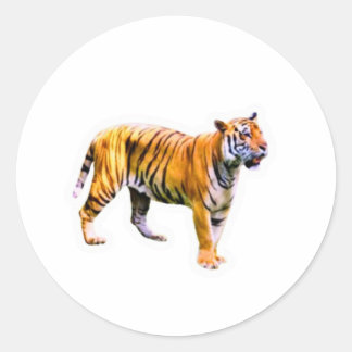 Majestic Sumatran Tiger - Endangered Wildlife Cons Classic Round Sticker