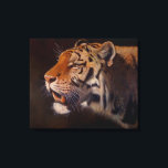 Majestic Tiger Portrait Large Canvas Print<br><div class="desc">Majestic Tiger from the original Oils on canvas  by Sue Maas</div>