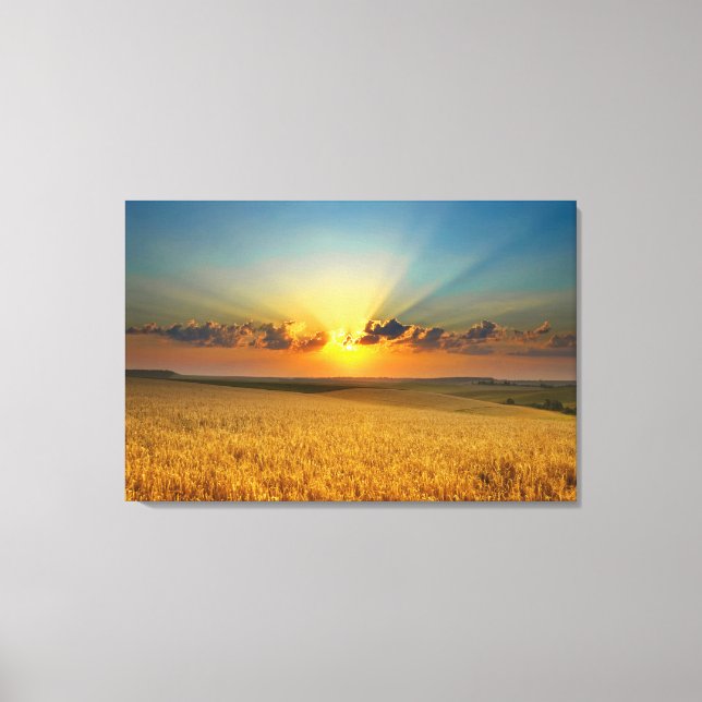 Majestic Wheat fields View Canvas Print (Front)