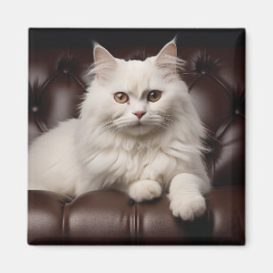 Majestic white cat magnet