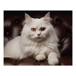 Majestic white cat poster