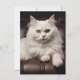 Majestic white cat thank you card