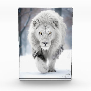 Majestic White Lion in Winter Wonderland Design Photo Block