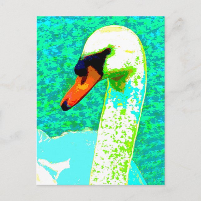 Majestic White Swan Head Postcard (Front)