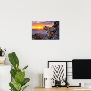 Majestic White Tiger Sunset Poster