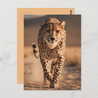 Majestic Wild Cheetah Running Photo Postcard