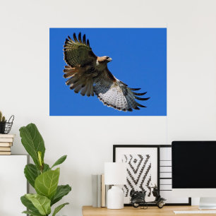 Majestic Wings Framed Print