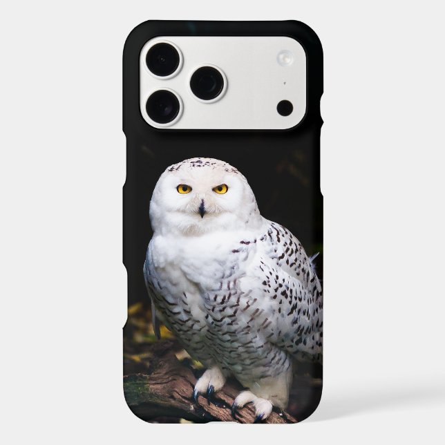Majestic winter snowy owl (Back)
