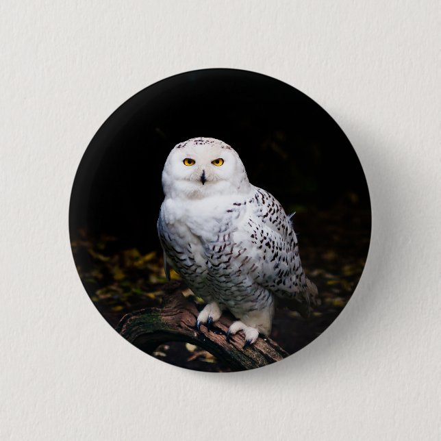 Majestic winter snowy owl 2 inch round button (Front)