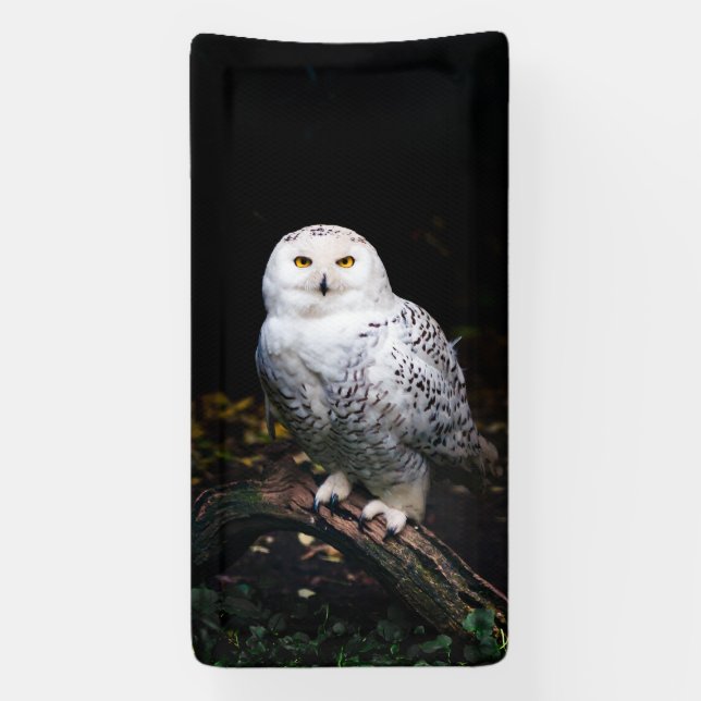 Majestic winter snowy owl banner (Vertical)