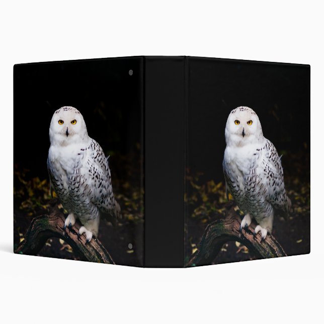 Majestic winter snowy owl binder (Background)