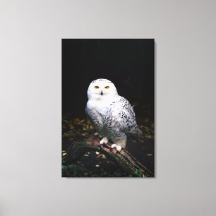 Majestic winter snowy owl canvas print