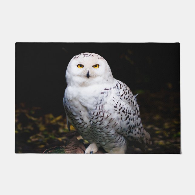 Majestic winter snowy owl doormat (Front)