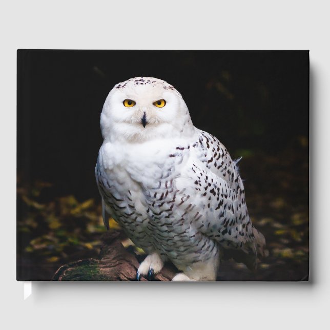 Majestic winter snowy owl guest book (Front)