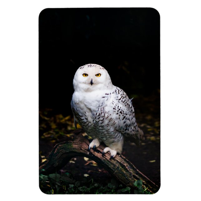 Majestic winter snowy owl magnet (Vertical)