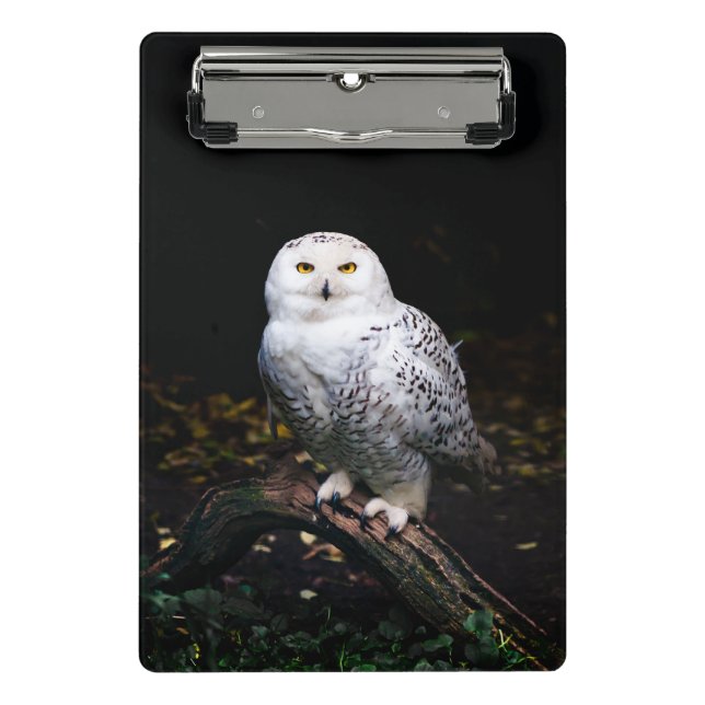 Majestic winter snowy owl mini clipboard (Front)