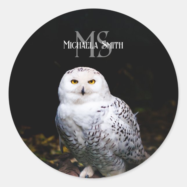 Majestic winter snowy owl monogram custom name classic round sticker (Front)