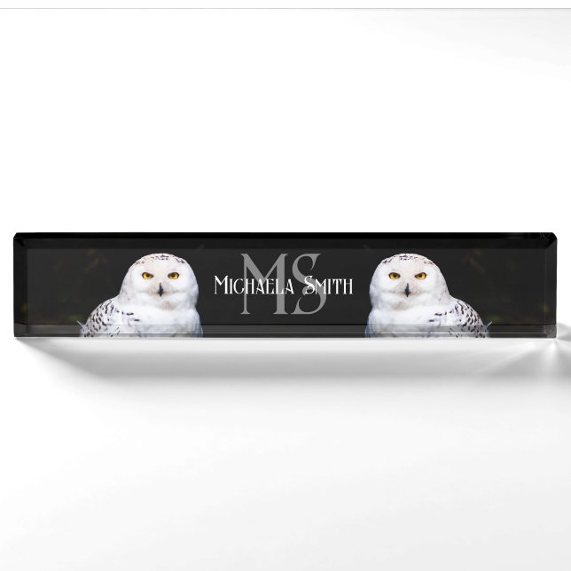 Majestic winter snowy owl monogram custom name nameplate (Front)