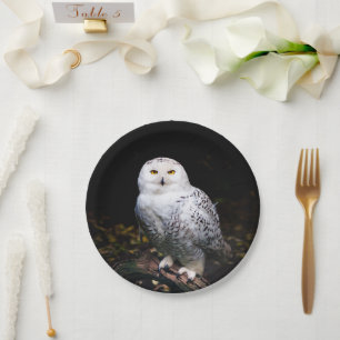 Majestic winter snowy owl paper plate